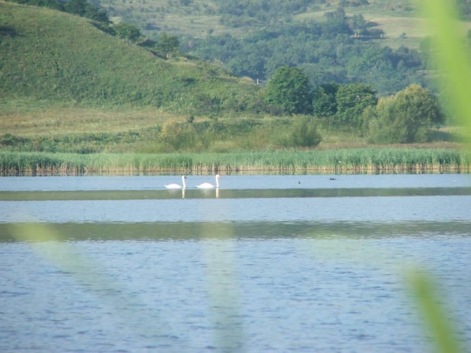 Lates 5-8 august 2013 ...cu prietenii - 11748576197751980896852136183160n.jpg